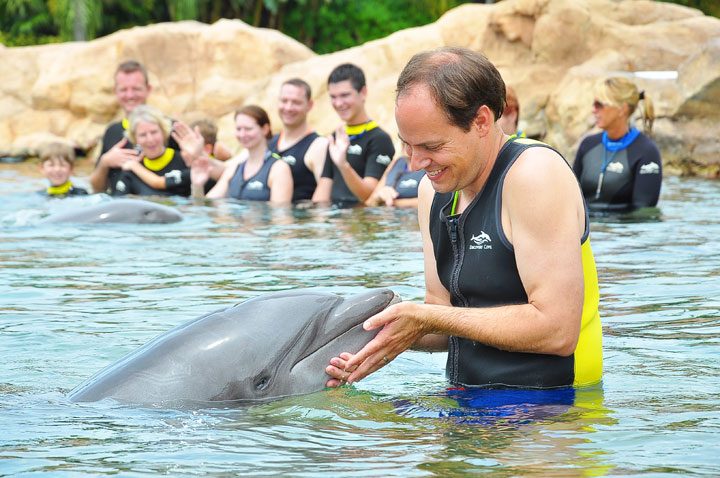 Swimming With Dolphins At Discovery Cove