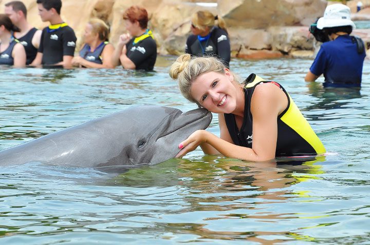 Swimming With Dolphins In Florida