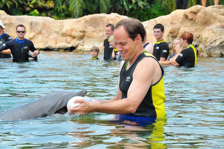 Swimming With Dolphins In Orlando
