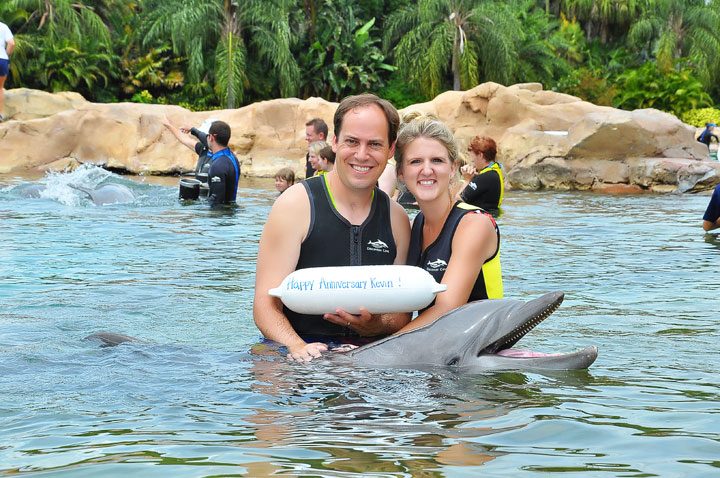 Swimming With Dolphins 