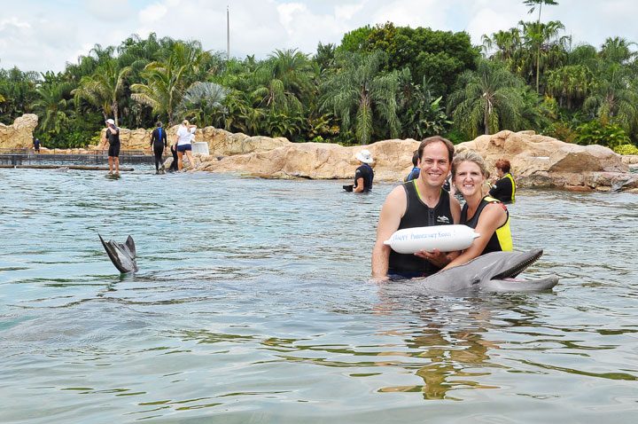 Swimming With Dolphins In FL