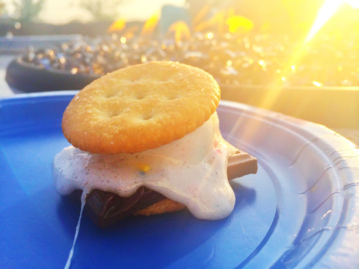 Gourmet S'mores Party!!