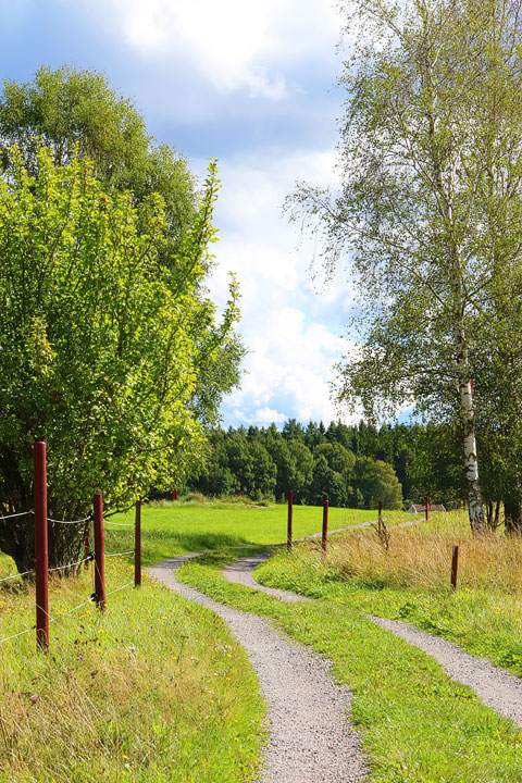 A walk through the Swedish countryside in Spiken, Sweden. #travel #sweden #photography www.kevinandamanda.com