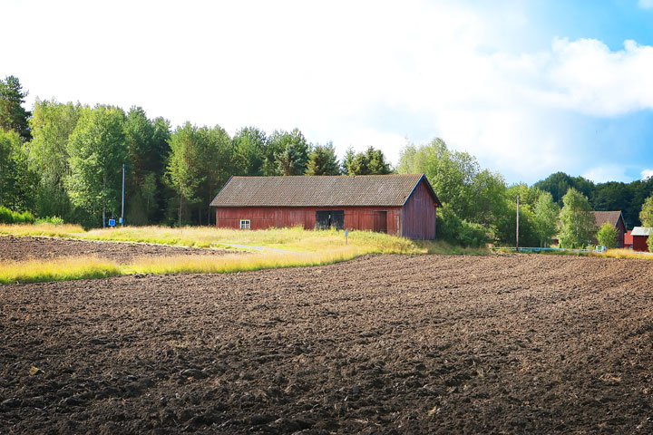 A walk through the Swedish countryside in Spiken, Sweden. #travel #sweden #photography www.kevinandamanda.com