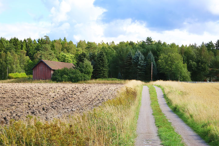 A walk through the Swedish countryside in Spiken, Sweden. #travel #sweden #photography www.kevinandamanda.com