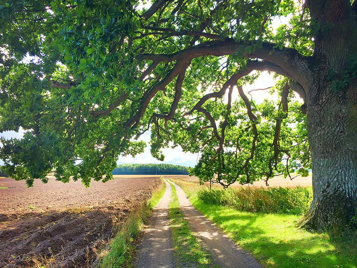 A walk through the Swedish countryside in Spiken, Sweden. #travel #sweden #photography www.kevinandamanda.com