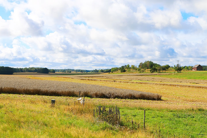 A walk through the Swedish countryside in Spiken, Sweden. #travel #sweden #photography www.kevinandamanda.com