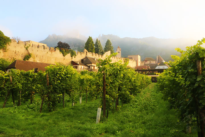 Wachau Valley - Danube River Cruise