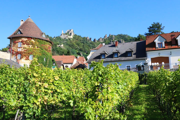 Wachau Valley - Danube River Cruise