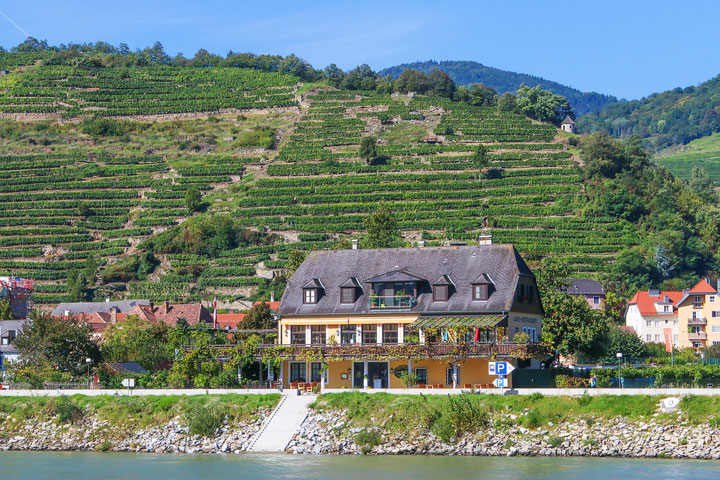 Wachau Valley - Danube River Cruise