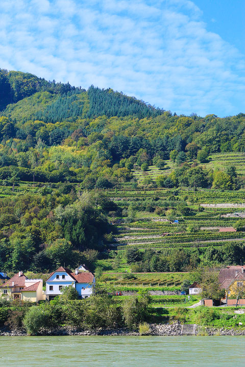 Wachau Valley - Danube River Cruise