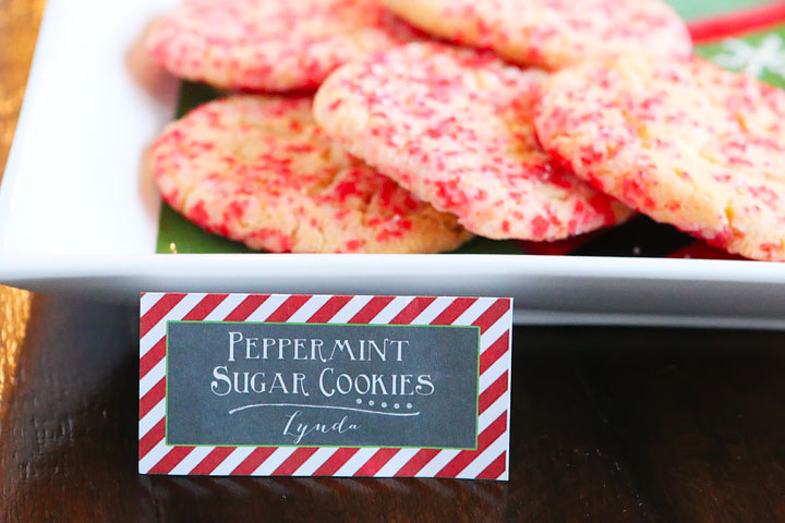 Throw the ultimate Christmas party with cute Christmas themed food and the most awesome hot chocolate bar you have ever seen! Plus tips and recipes for hosting the best cookie swap party on the block.