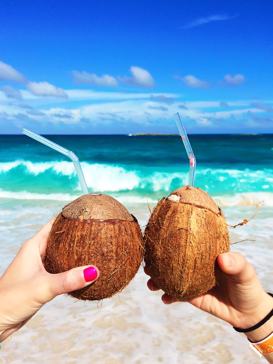 Exploring Atlantis and The Bahamas on the Royal Caribbean Oasis of the Seas! {Cruise Review}