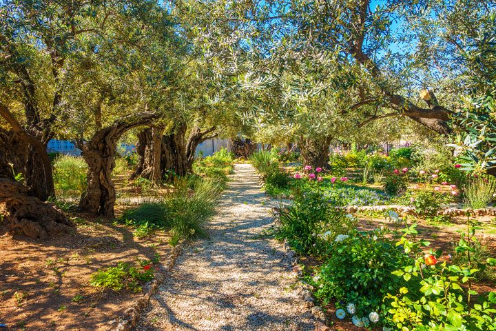 Click here for the must-see Most Holy Places in Jerusalem, including The Sea of Galilee, the Via Dolorosa, Mount of Olives, Garden of Gethsemane, Church of the Holy Sepulcher. Tips for Traveling to Israel + Where to Eat and Where to Stay in Jerusalem.