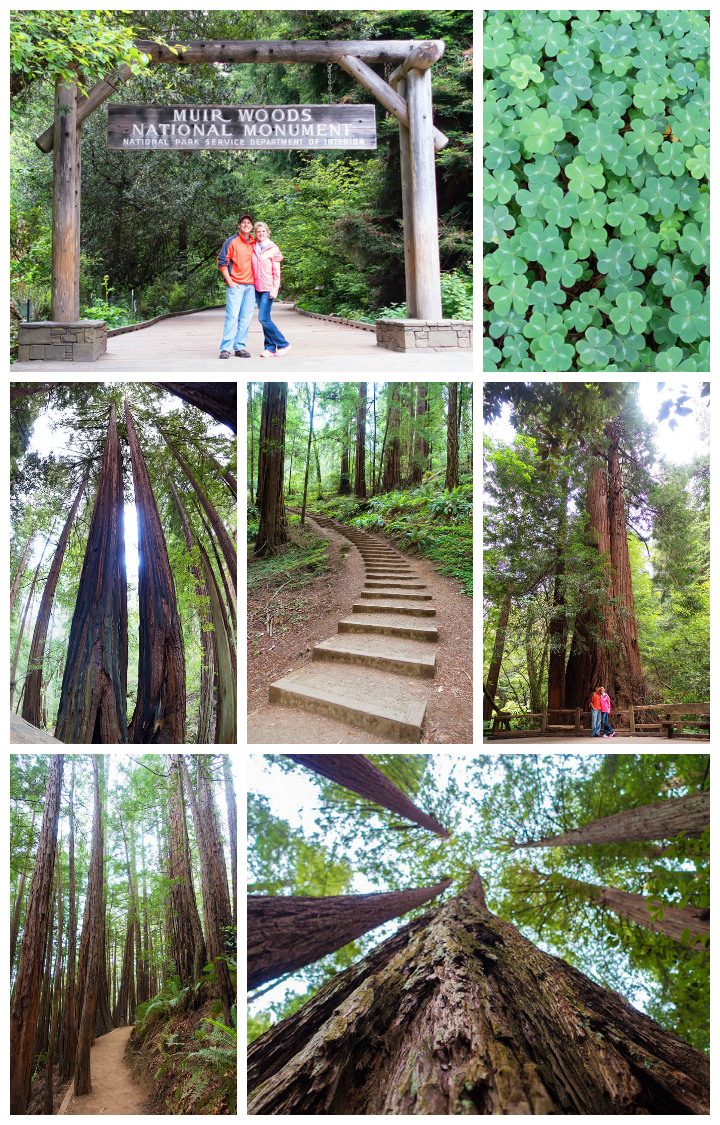 Muir Woods