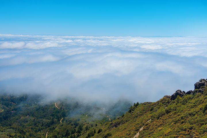 San Francisco Fog