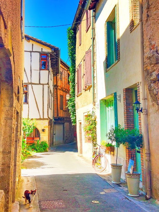 Summertime biking around the south of France... (Click for travel tips and itineraries)