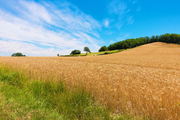 Summertime biking around the south of France... (Click for travel tips and itineraries)