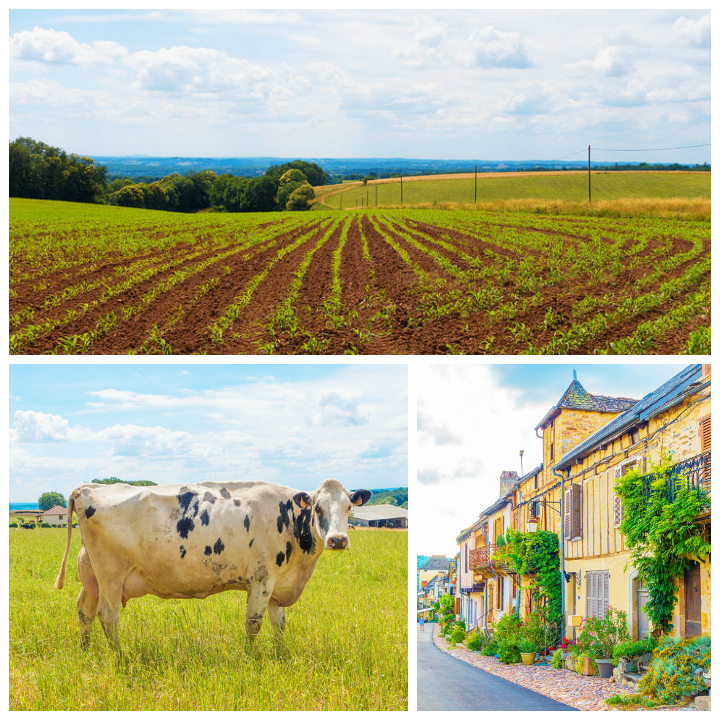 Summertime biking around the south of France... (Click for travel tips and itineraries)