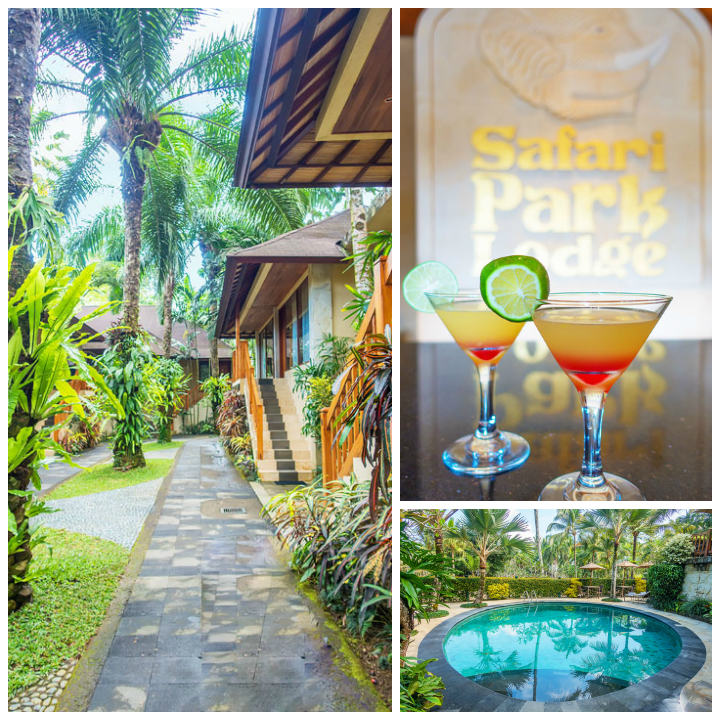 Feed, bathe, and experience the rescued elephants of the Elephant Safari Park Lodge in Ubud, Bali.