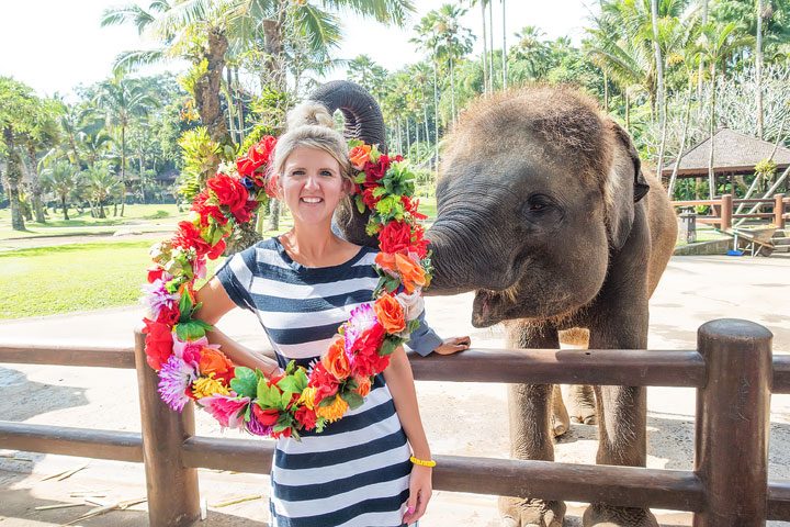 Feed, bathe, and experience the rescued elephants of the Elephant Safari Park Lodge in Ubud, Bali.