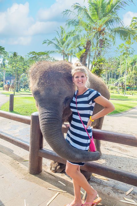 Feed, bathe, and experience the rescued elephants of the Elephant Safari Park Lodge in Ubud, Bali.