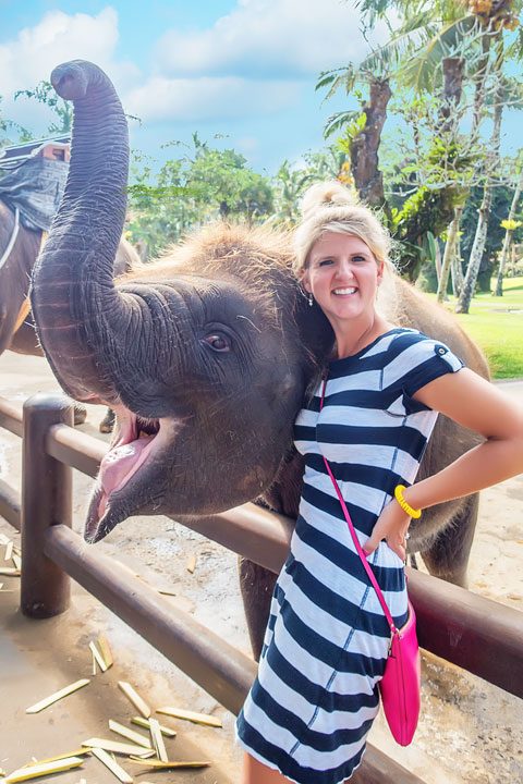 Feed, bathe, and experience the rescued elephants of the Elephant Safari Park Lodge in Ubud, Bali.