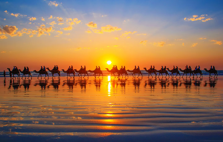 Camel Trekking in Western Australia — Kevin & Amanda