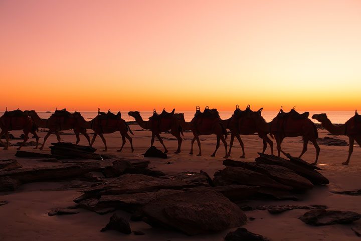 Incredible Western Australia! What to see and do in Australia.