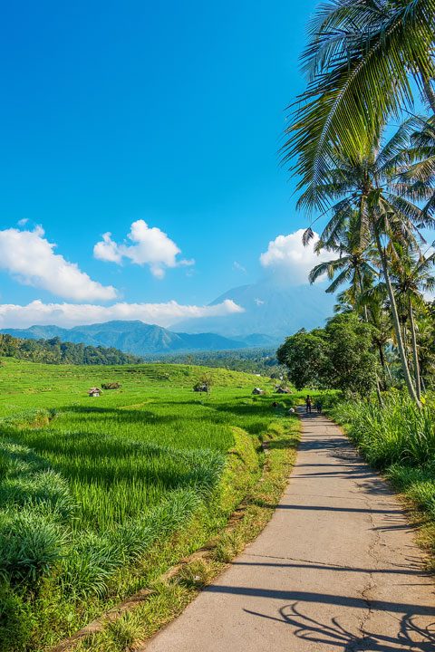 Trekking through rice fields and discovering ancient temples in East Bali.