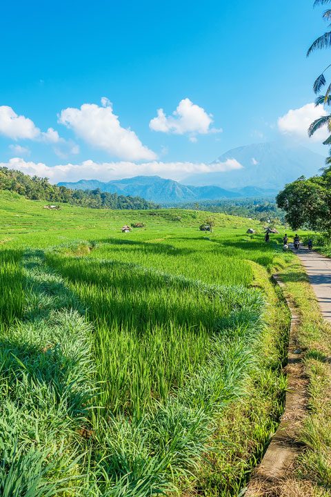 Trekking through rice fields and discovering ancient temples in East Bali.