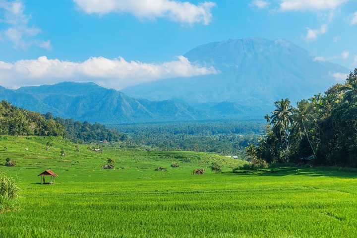 Trekking through rice fields and discovering ancient temples in East Bali.