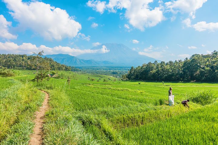 Trekking through rice fields and discovering ancient temples in East Bali.