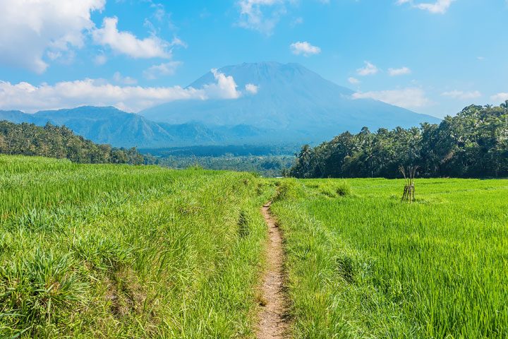 Trekking through rice fields and discovering ancient temples in East Bali.