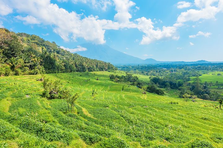 Trekking through rice fields and discovering ancient temples in East Bali.