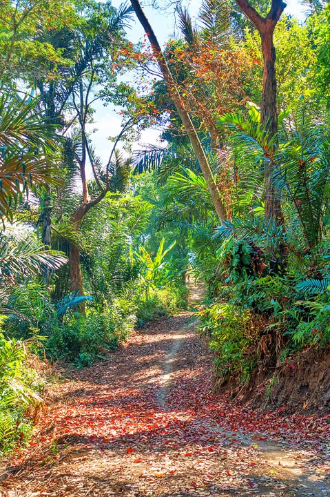 Trekking through rice fields and discovering ancient temples in East Bali.