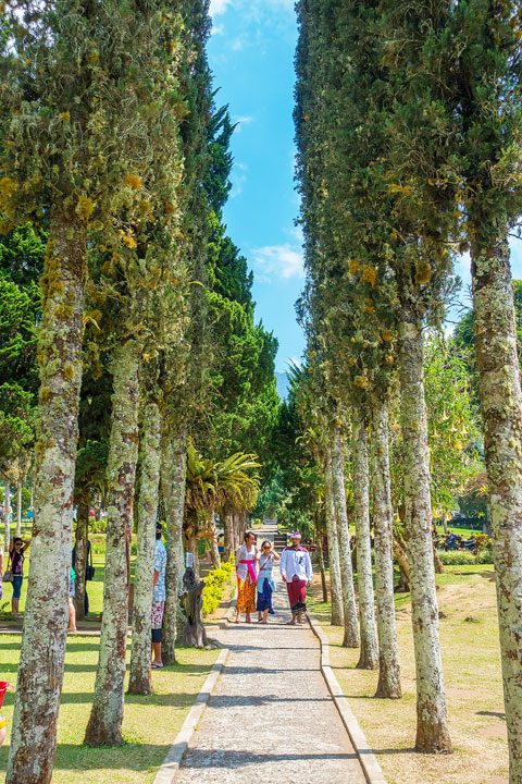 Trekking through rice fields and discovering ancient temples in East Bali.