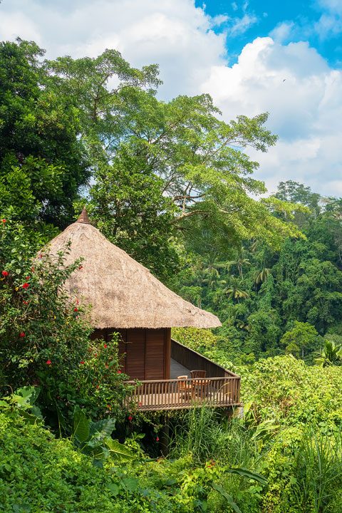 Alila Ubud ~ a gorgeous, secluded resort in Ubud, Bali.