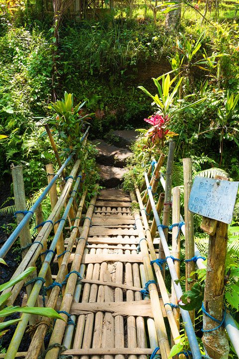 Tegallalang Rice Terrace, Ubud, Bali {Where to find & Tips for Visiting}