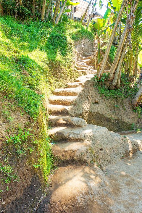 Tegallalang Rice Terrace, Ubud, Bali {Where to find & Tips for Visiting}