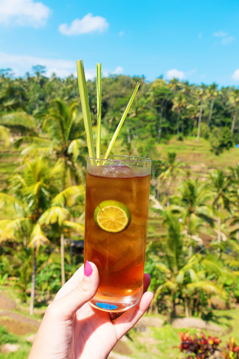 Image of Tea at the Rice Terraces