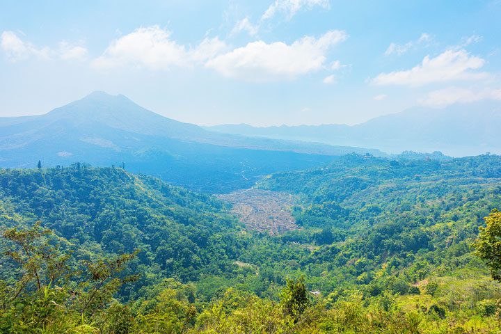 Tegallalang Rice Terrace, Ubud, Bali {Where to find & Tips for Visiting}