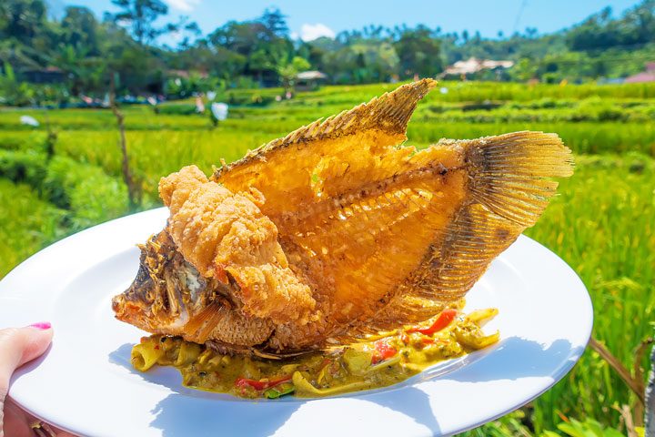 Indonesian Cuisine ~ Where to find the best food in Bali!
