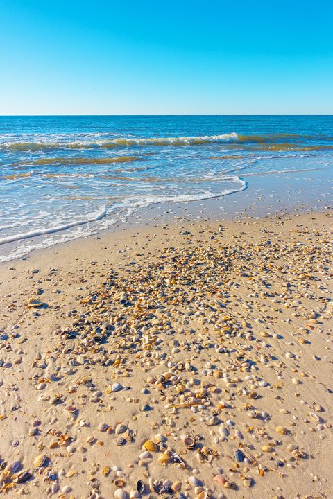 Pet-friendly dog beach and condo rentals on the Florida Panhandle! Pristine white-sand beaches with crystal-clear turquoise water. Perfect for the whole family!