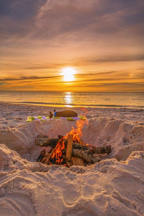 Pet-friendly dog beach and condo rentals on the Florida Panhandle! Pristine white-sand beaches with crystal-clear turquoise water. Perfect for the whole family!