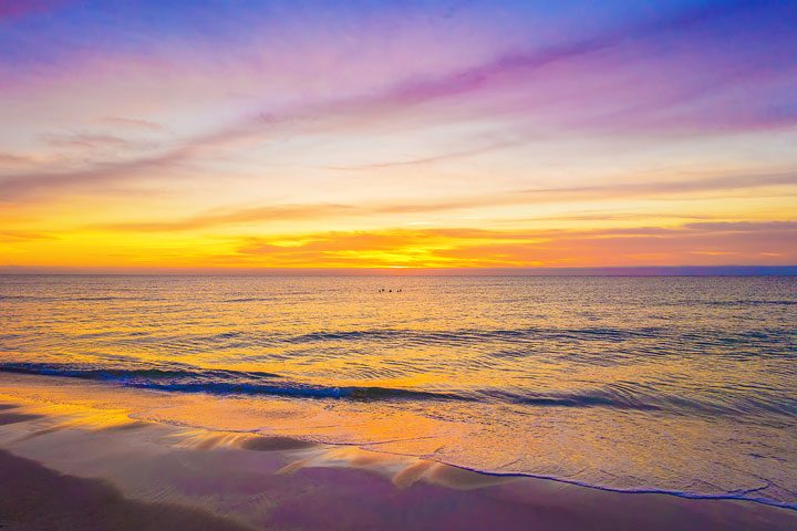 Pet-friendly dog beach and condo rentals on the Florida Panhandle! Pristine white-sand beaches with crystal-clear turquoise water. Perfect for the whole family!