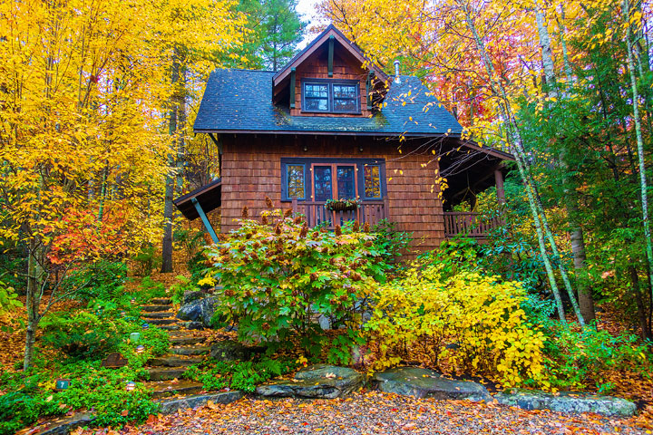 Bucket List Item!!! Drive the Blue Ridge Parkway in Asheville, North Carolina in the fall!