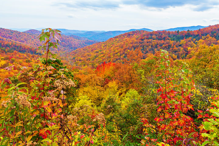 Bucket List Item!!! Drive the Blue Ridge Parkway in Asheville, North Carolina in the fall!