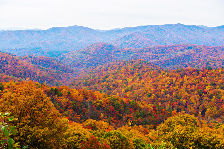 Bucket List Item!!! Drive the Blue Ridge Parkway in Asheville, North Carolina in the fall!