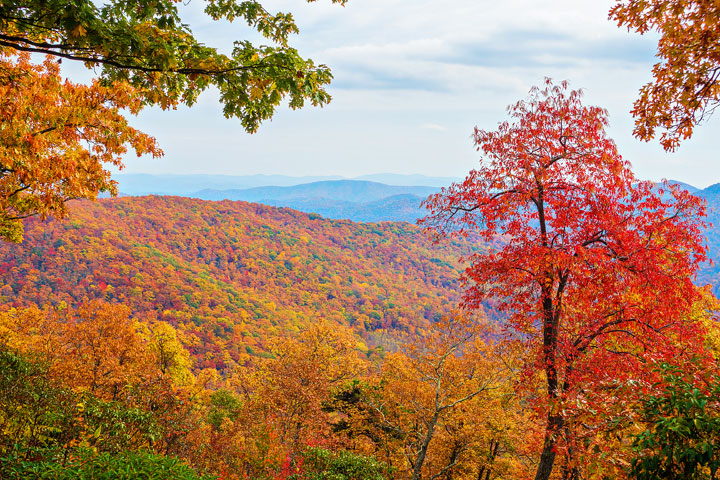 Bucket List Item!!! Drive the Blue Ridge Parkway in Asheville, North Carolina in the fall!